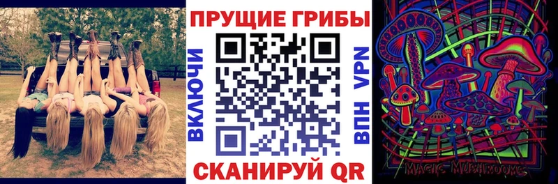 Псилоцибиновые грибы GOLDEN TEACHER  Реж 